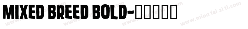 Mixed Breed Bold字体转换